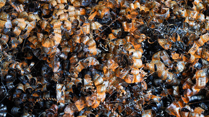 Steel scrap materials recycling. Aluminum chip waste after machining metal parts on a cnc lathe. Closeup twisted spiral steel shavings. Small roughness sharpness,