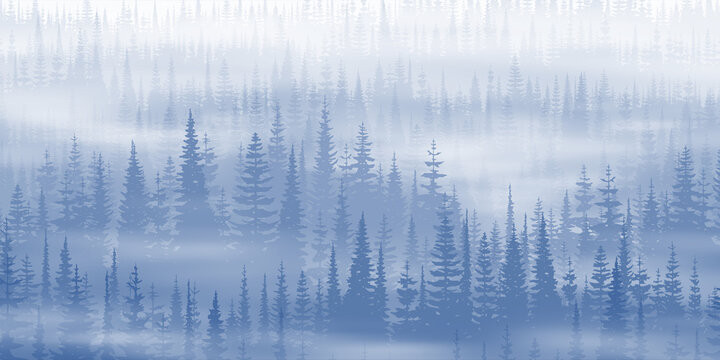 Coniferous forest in the morning fog