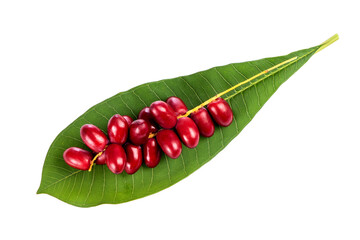 Date Palm fruits isolated on white background.top view,flat lay.