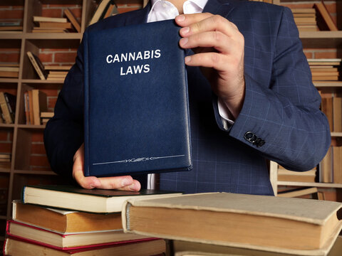 Jurist holds CANNABIS LAWS book. Cannabis laws are changing at a rapid pace across all 50 states, making things a bit confusing at times