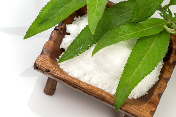 Ngai Camphor Tree green leaves and white crystal isolated on white background .