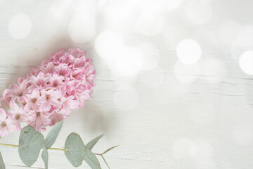 Pink blooming hyacinth flower with a sprig of eucalyptus on a white wooden background. Delicate floral arrangement.