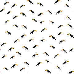 Tropical pattern. Pattern of tropical birds toucans. Exotic seamless background.