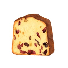リアルなフルーツパウンドケーキ単品　線画なし