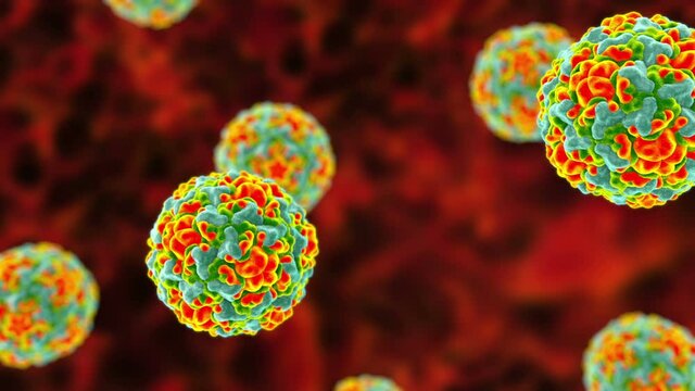 Rhinoviruses, the viruses that cause rhinitis and common cold, 3D animation