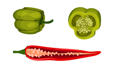 Red and Green Pepper as Ripe Vegetable and Organic Food Vector Set
