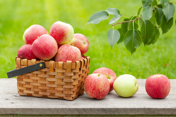 Ripe garden apple fruits in basket