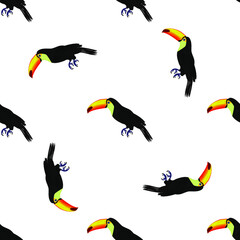 Tropical pattern. Pattern of tropical birds toucans. Exotic seamless background.