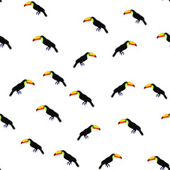 Tropical pattern. Pattern of tropical birds toucans. Exotic seamless background.