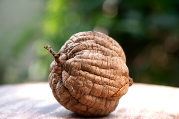 Pueraria mirifica or white kwao krua fruit on nature background.