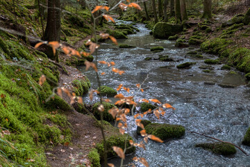 waterfall in autumn forest