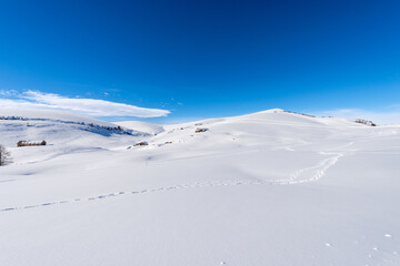 Altopiano della Lessinia. Lessinia Plateau in winter with snow, Regional Natural Park, near Malga Gaibana and Malga San Giorgio, ski resort, Bosco Chiesanuova, Verona Province, Veneto, Italy, Europe.