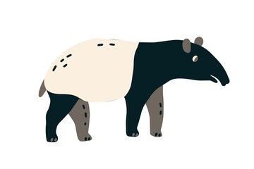 Malayan tapir with elongated nose trunk. Asian animal isolated on white background. Colored flat vector illustration of wild Indian mammal isolated on white background