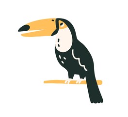 Black-feathered toucan with large yellow beak. Tropical Southern American tucan bird sitting on tree branch. Colored flat vector illustration of exotic tukan isolated on white background © Good Studio