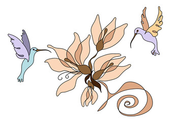 Colibri and abstract flower lily. Little hummingbirds fly on white background, isolated. Delicate pastel color.