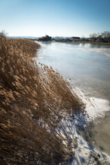 Winter at the reeds of lake Neusiedlersee in Burgenland