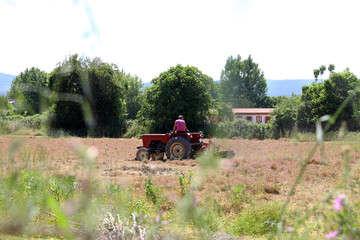 Obraz premium a man plowing the field with the tractor