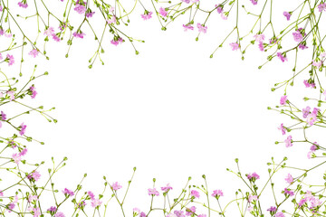 Pink Gypsophila flowers in a floral frame isolated on white