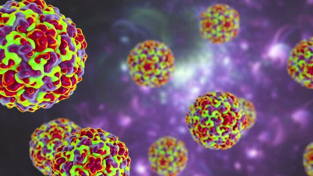Rhinoviruses, the viruses that cause rhinitis and common cold, 3D animation