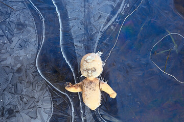 doll broken horror, winter frost ice, background fear abandoned lost child