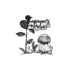 Mushroom in the forest. Hand drawn, isolated on white