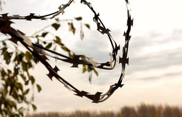 Barbed wire against the gloomy sky. The concept of restriction of freedom, social distancing, loneliness.