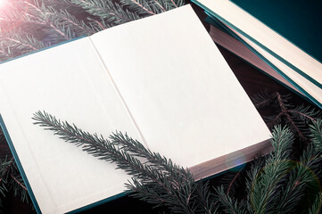 a spruce branch on an open book
