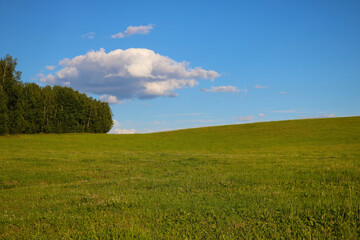 View of a green field in spring on a sunny day.