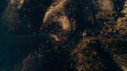 Road between the canopies 