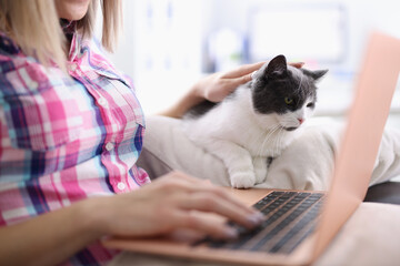 Fototapeta premium Woman sits on sofa with cat and works remotely on laptop.