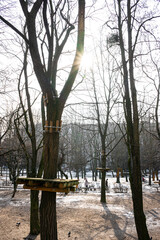 Early spring in the park, remnants of snow and spring sun.