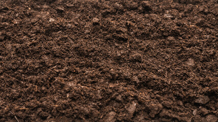 Black land for plant background.