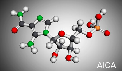 AICA ribonucleotide, AICAR molecule. It is aminoimidazole, cardiovascular drug, plant and human metabolite. Molecular model. 3D rendering
