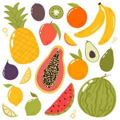 Tropical fruits set. Cartoon style hand drawn vector illustration. Exotic fresh fruits isolated on white. Vegan menu, healthy food. Pineapple, orange, watermelon, lemon, mango, kiwi, banana, fig, lime