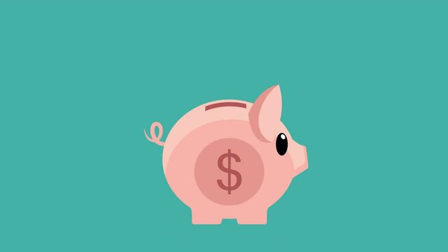 Dollar coins falling in Piggy bank. Flat animation replenishment of piggy with money. Cash savings symbol. Saving money icon. Investment for the future. Fundraising business concept. 4K. Alpha channel