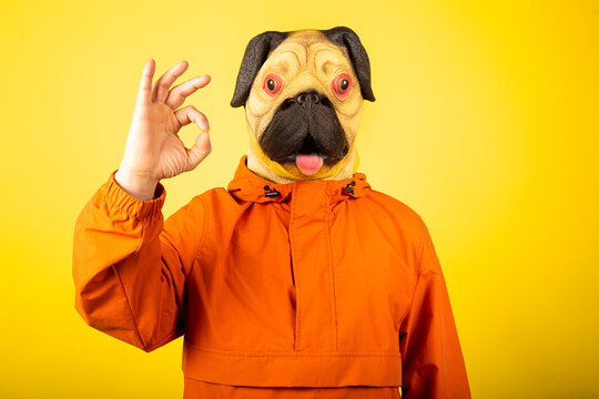 Man with dog mask isolated on a yellow background.Man gesture with ok sign, good choice. - Powered by Adobe