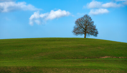 Fototapeta premium Frühling im Anzug