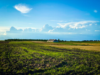 field and blue sky