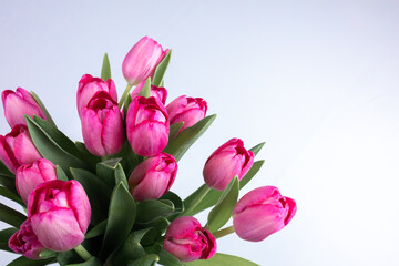 A bouquet of flowers from spring tulips where the buds stick out in different directions