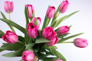 A bouquet of flowers from spring tulips where the buds stick out in different directions