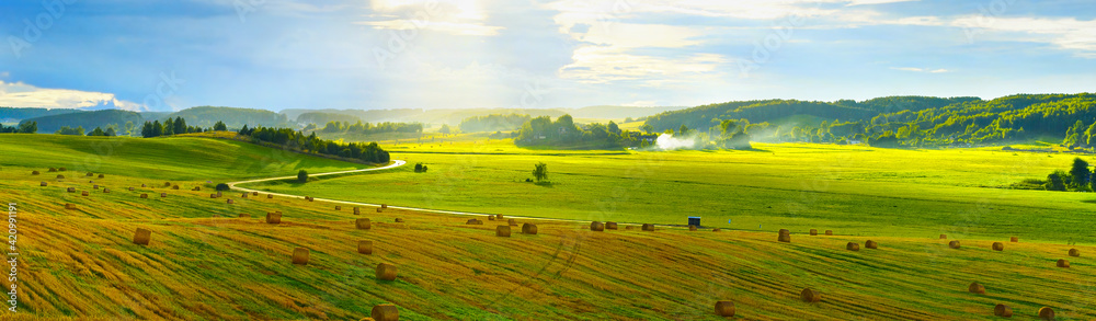 Wall mural summer panoramic natural landscape. wide panorama of countryside with serpentine road and green mead