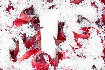 Cosmetic packaging mockup under first snow background. Beauty spa medical skincare, lotion product on red leaves. Mock up tube. Moisturizer, shampoo, hand cream, toothpaste. Branding identity.