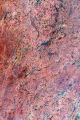 Textured red background. The texture of the sea stone is red-brown.