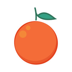 Orange vector. Orange symbol vector. Orange on white background.