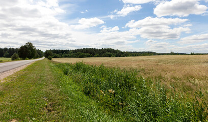 Summer or Spring landscape