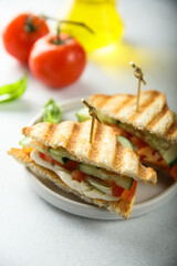 Grilled sandwich with tomato and cucumber