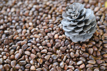 unpeeled cedar nuts and a pine cone background. rich in unsaturated fats food for brain boost and heart health. raw food for paleo diet. vegetarian meal plan