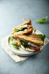 Chicken sandwich with tomato and cheese