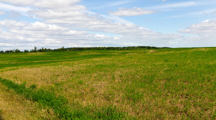 Fototapeta na wymiar hilly area on an agricultural field