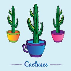 Green cactus in colorful cups pot on blue background